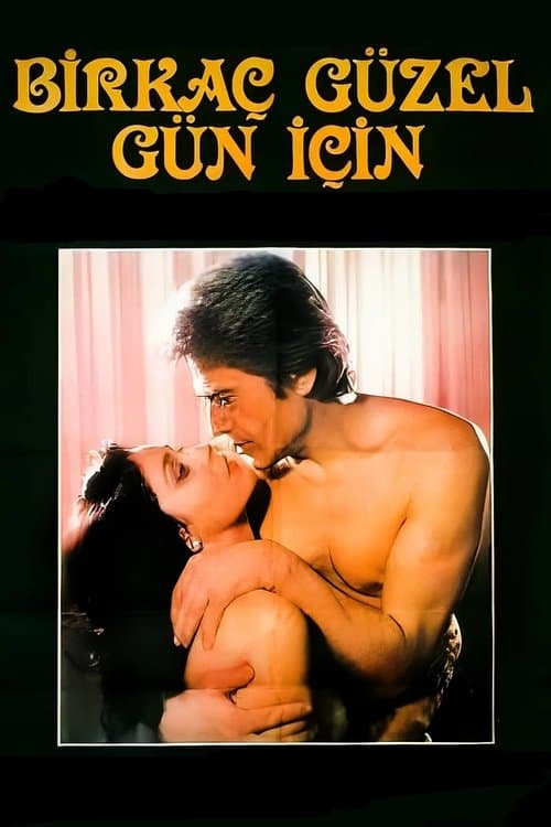 Birkaç Güzel Gün İçinのポスター