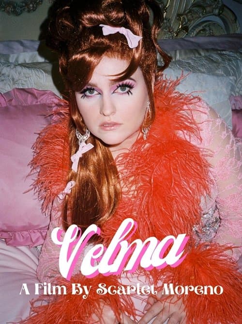 Velmaのポスター