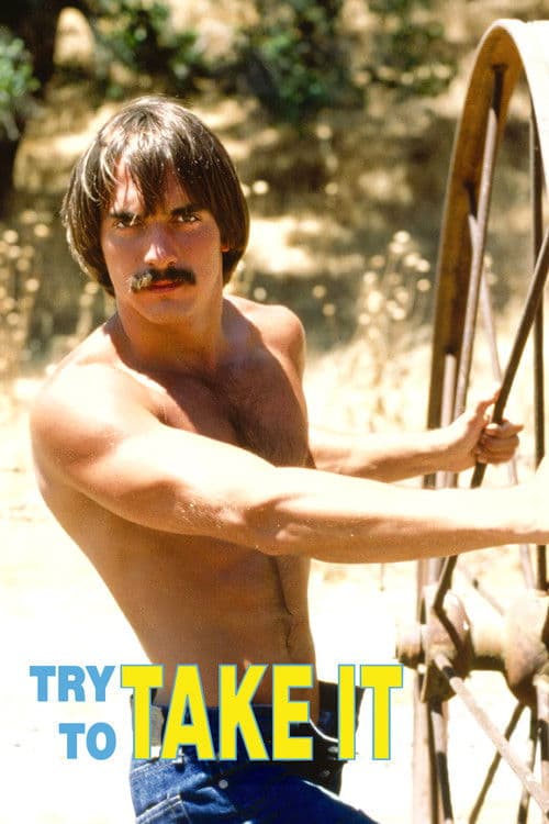 Try To Take Itのポスター