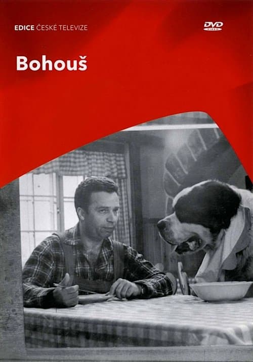 Bohoušのポスター