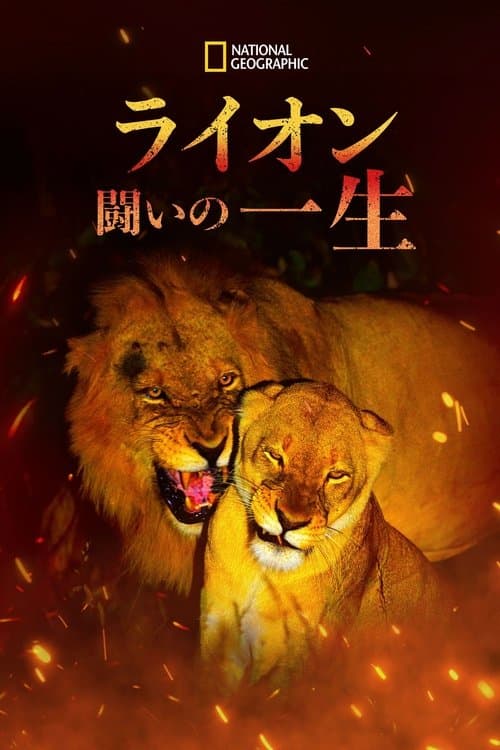 Game of Lionsのポスター