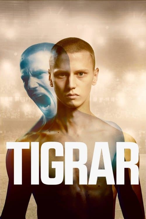 Tigrarのポスター