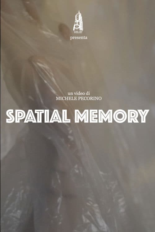 Spatial Memoryのポスター