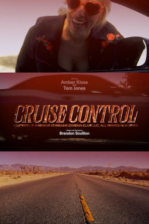 Cruise Controlのポスター