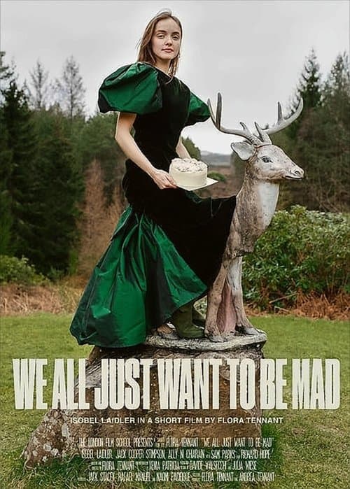 We All Just Want to Be Madのポスター