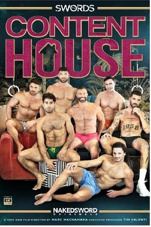 Content House: The Swordsのポスター
