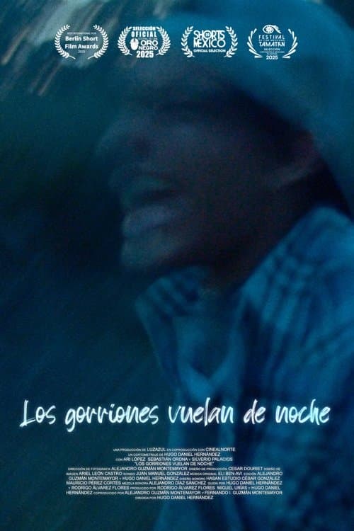 Los gorriones vuelan de nocheのポスター