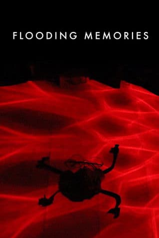 Flooding Memoriesのポスター