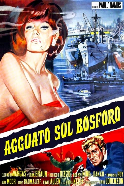 Agguato sul Bosforoのポスター