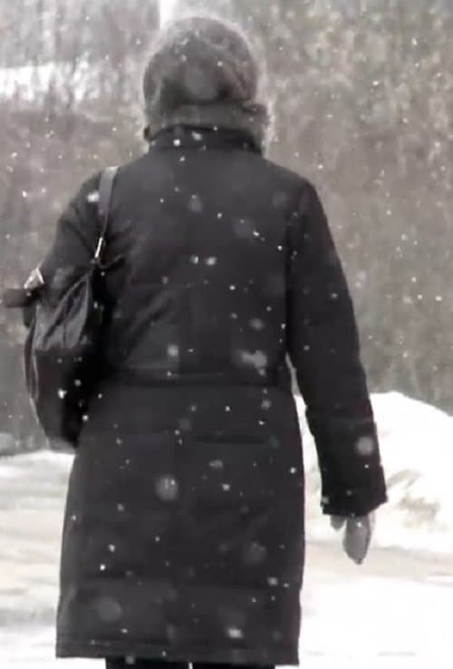 Снегのポスター