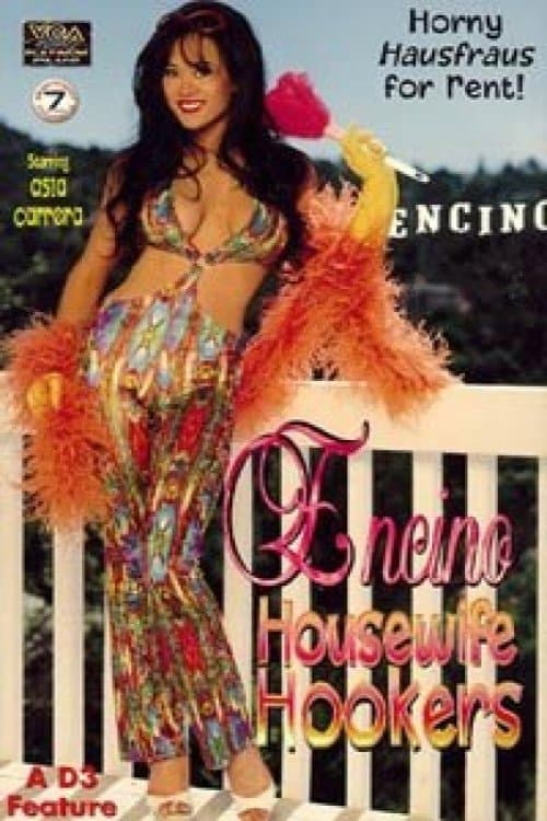 Encino Housewife Hookersのポスター