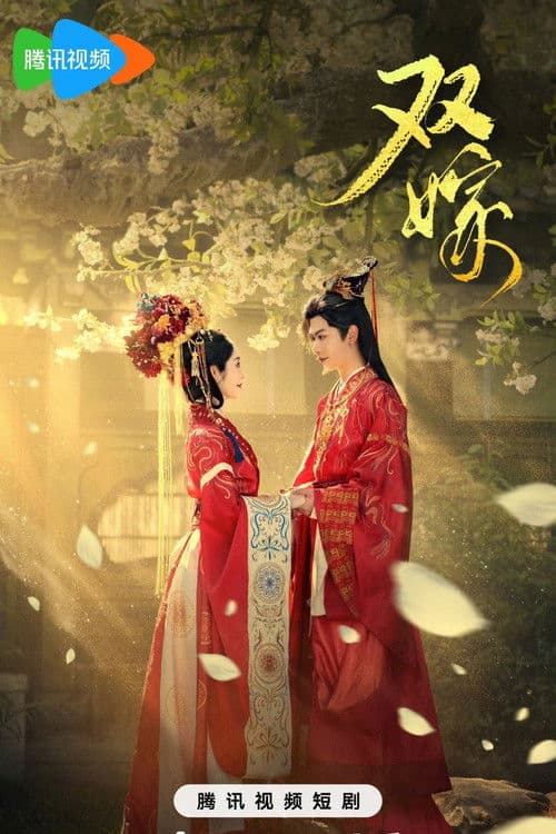 双嫁のポスター