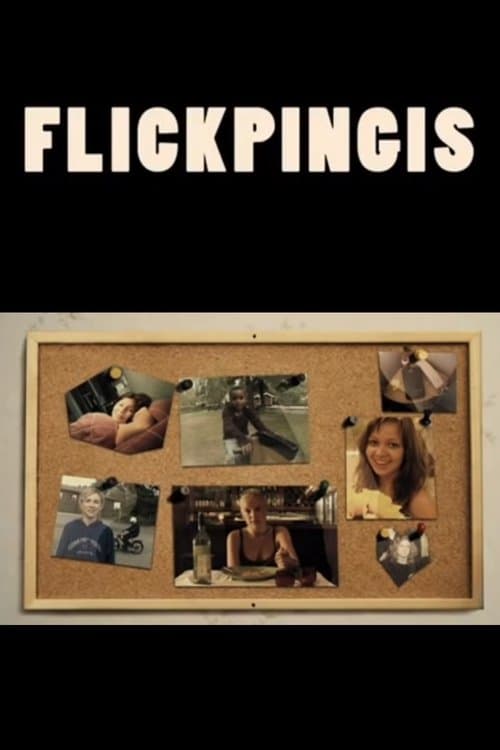 Flickpingisのポスター