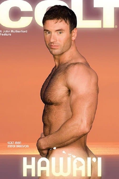 Hawai'iのポスター