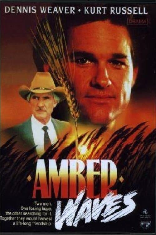 Amber Wavesのポスター