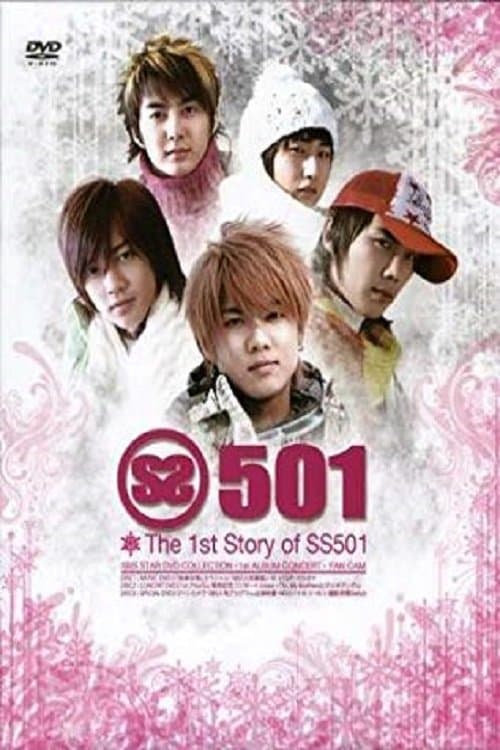 SS501 - 1'st Storyのポスター