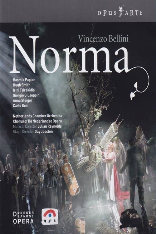 Vincenzo Bellini - Norma (De Nederlandse Opera)のポスター