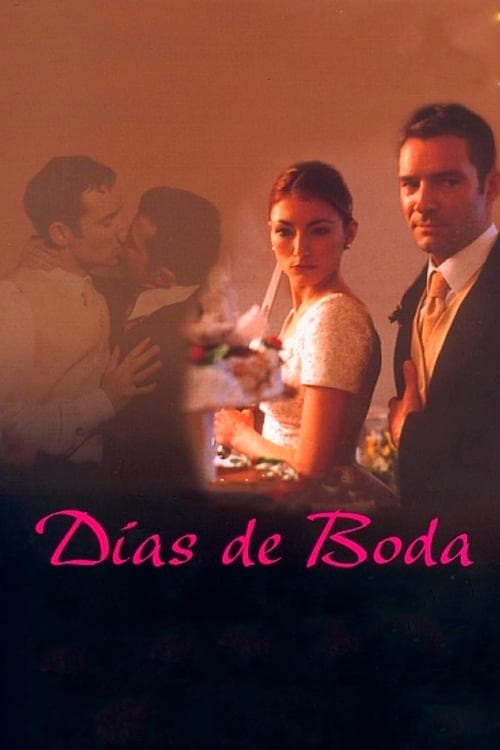 Días de vodaのポスター