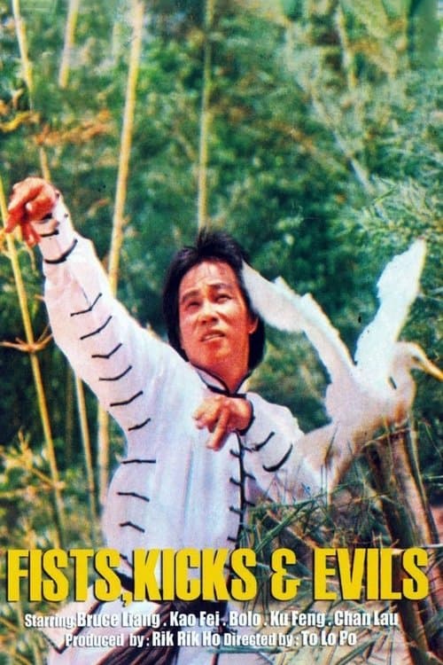 The Fists, the Kicks and the Evilsのポスター