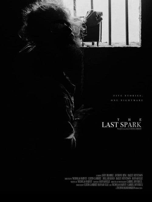 The Last Sparkのポスター
