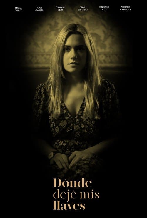 ¿Dónde Dejé Mis Llaves?のポスター
