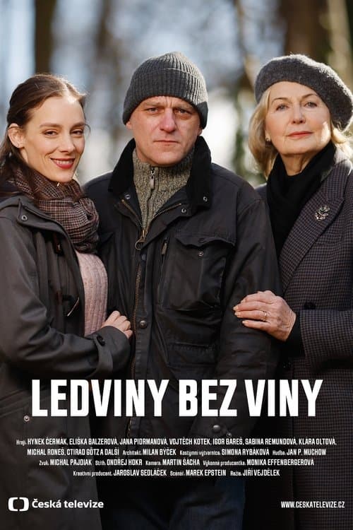 Ledviny bez vinyのポスター
