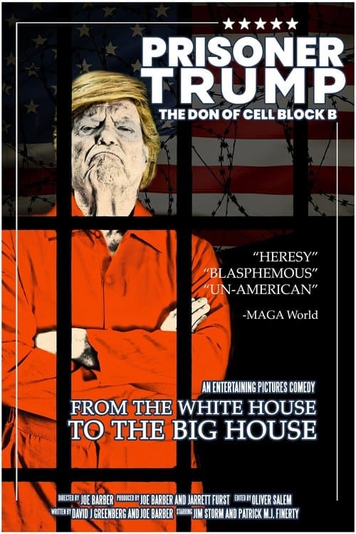 Prisoner Trump: The Don of Cell Block Bのポスター