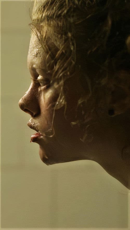 Vércsékのポスター