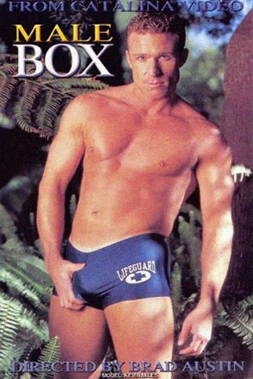 Male Boxのポスター