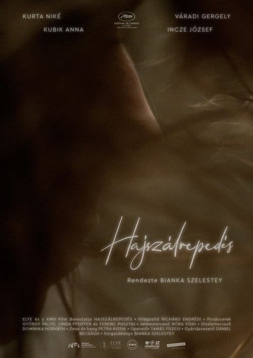 Hajszálrepedésのポスター