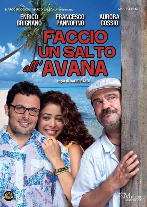 Faccio un salto all'Avanaのポスター