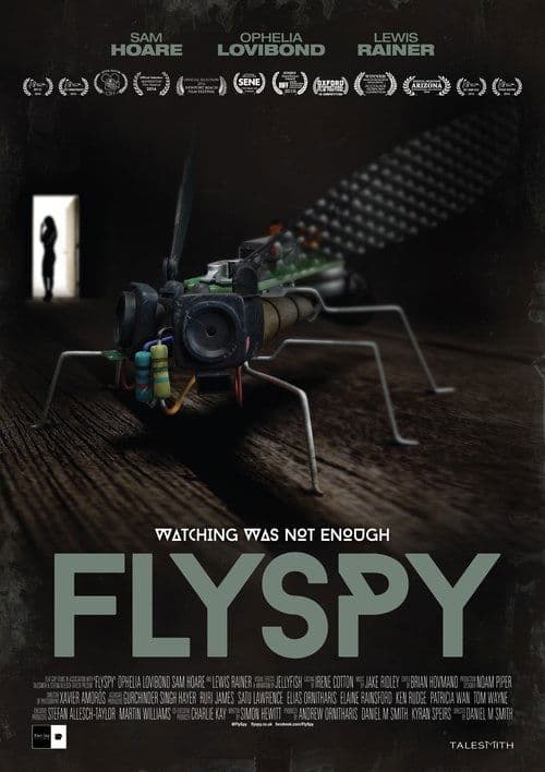 Flyspyのポスター