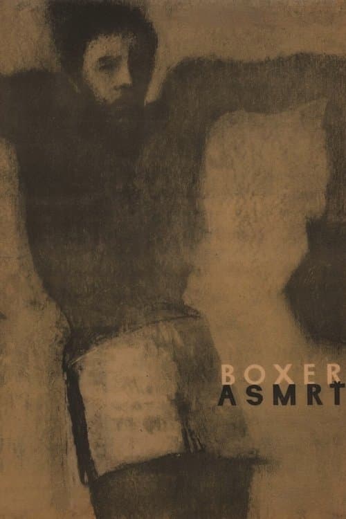 Boxer a smrťのポスター