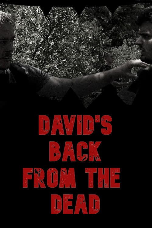 David's Back from the Deadのポスター