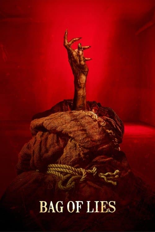 Bag of Liesのポスター