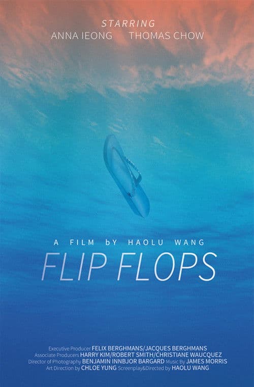 Flip Flopsのポスター