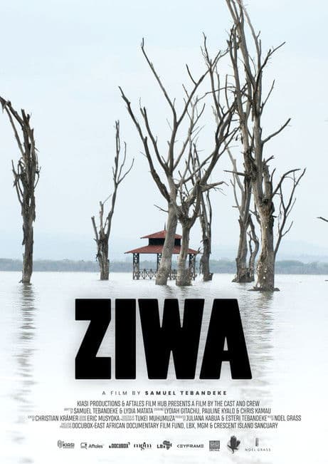 Ziwaのポスター
