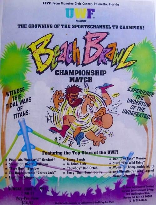 UWF Beach Brawlのポスター