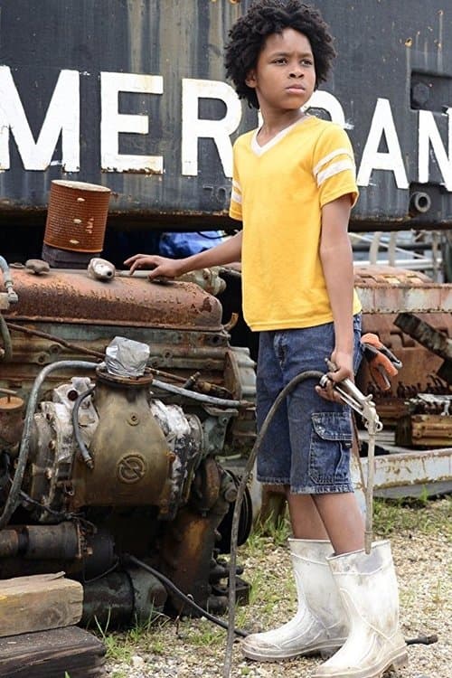 Plaqueminesのポスター