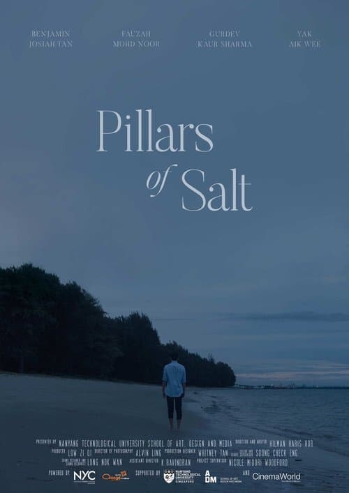 Pillars of Saltのポスター