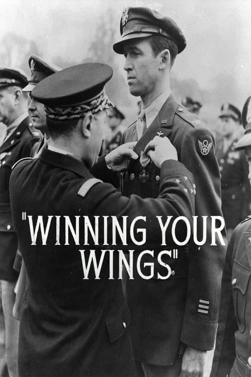 Winning Your Wingsのポスター