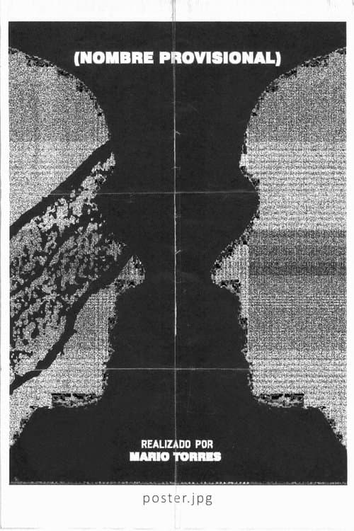 Nombre Provisionalのポスター