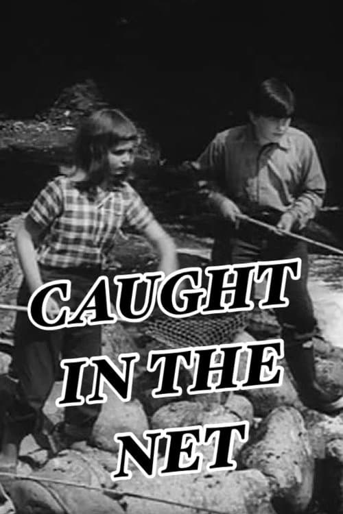 Caught in the Netのポスター
