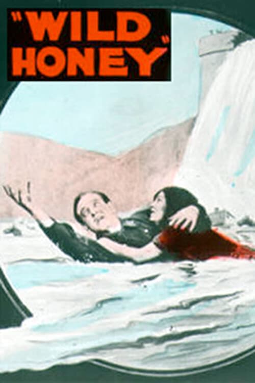 Wild Honeyのポスター