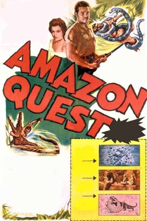 Amazon Questのポスター