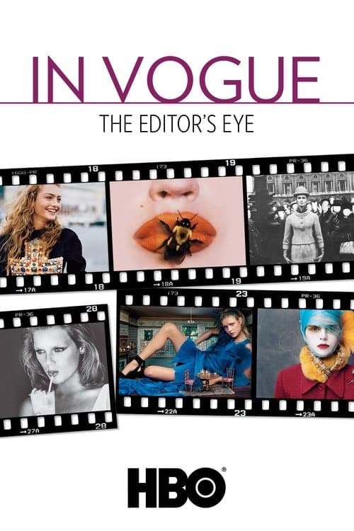 In Vogue: The Editor's Eyeのポスター