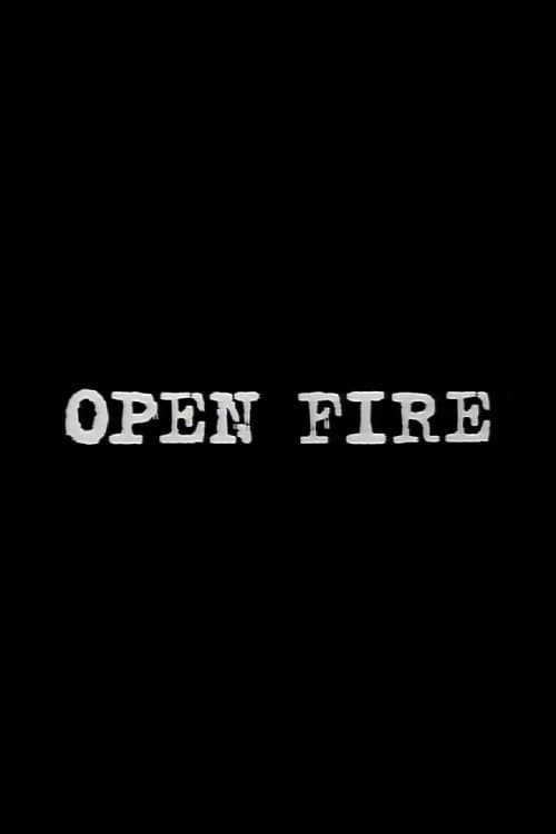 Open Fireのポスター