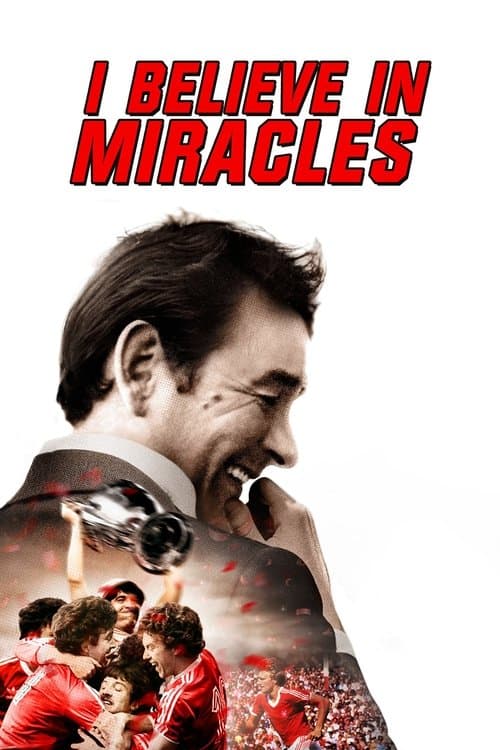 I Believe in Miraclesのポスター