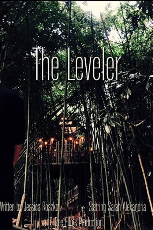 The Levelerのポスター