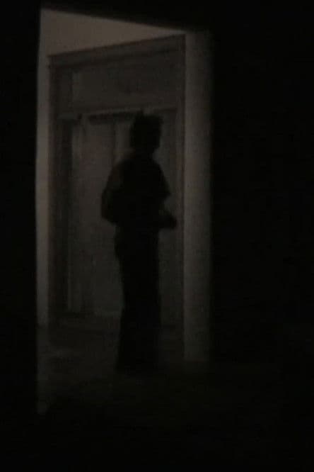 a film about nothing or my friend, jake, in new mexicoのポスター